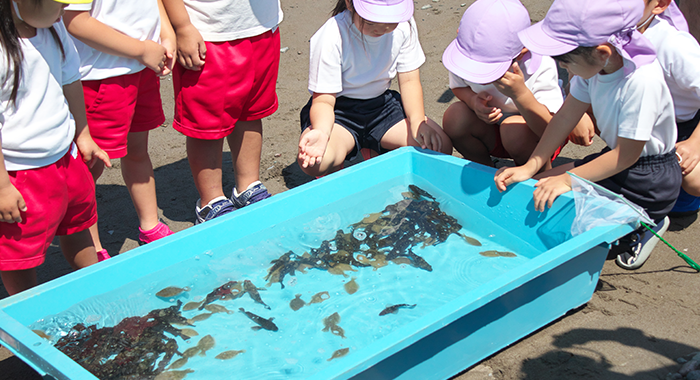 開催地：「稚魚放流活動」